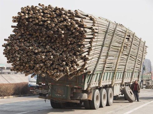 Những hình ảnh xe chở hàng quá tải trên thế giới - ảnh 8