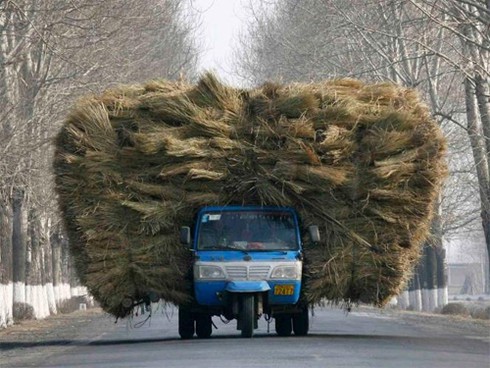 Những hình ảnh xe chở hàng quá tải trên thế giới - ảnh 10