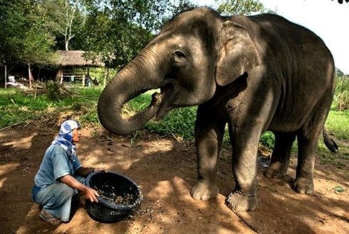 7 món ăn 'siêu kinh dị' nhất hành tinh - ảnh 6