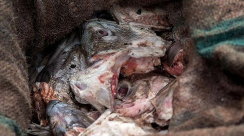 7 món ăn 'siêu kinh dị' nhất hành tinh - ảnh 14