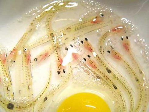 7 món ăn 'siêu kinh dị' nhất hành tinh - ảnh 21