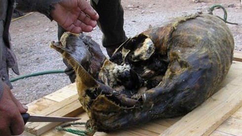 7 món ăn 'siêu kinh dị' nhất hành tinh - ảnh 23