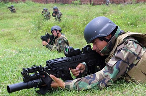 Hải quân đánh bộ: Sức mạnh răn đe, ngăn chặn của quốc gia biển - ảnh 1