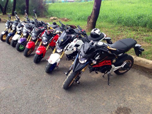 Hội Honda MSX125 Việt Nam có nữ leader 9X - ảnh 2