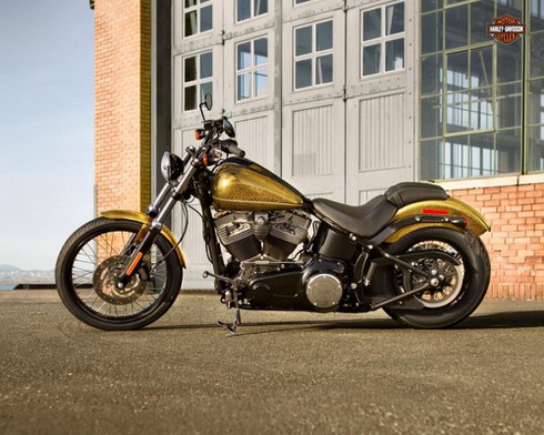 Harley Davidson đã sản xuất xe kém chất lượng vào thời kỳ nào? - ảnh 15