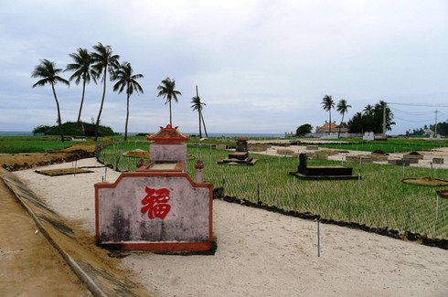 Hải trình dài đầu tiên của tàu Cảnh sát biển 8002 - ảnh 3