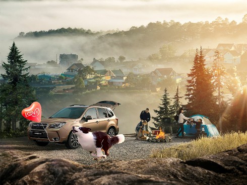 Khởi động cuộc thi