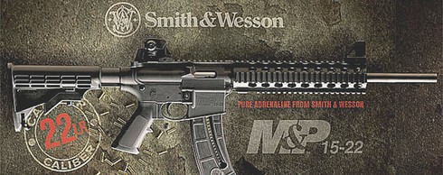 Những loại súng có thể mua tại siêu thị ở Mỹ - ảnh 12