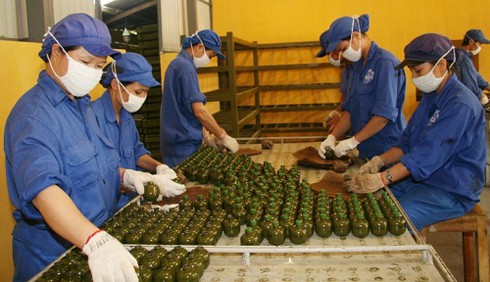 Thế nào là Quân nhân chuyên nghiệp, Công nhân và Viên chức quốc phòng? - ảnh 1