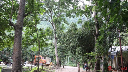 Lực lượng hàng trăm người lên núi tìm trực thăng EC-130 gặp nạn - ảnh 12