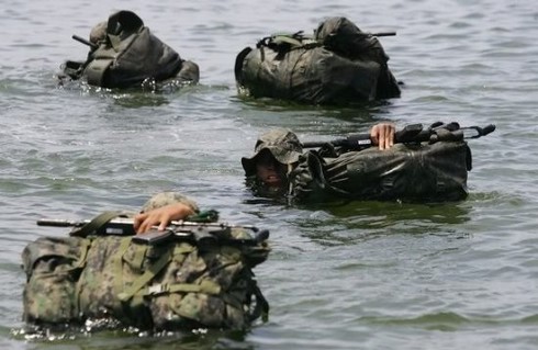 Những lực lượng uy mãnh của hải quân Hàn Quốc - ảnh 2