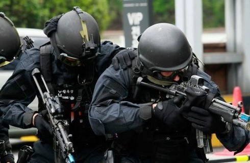 Những lực lượng uy mãnh của hải quân Hàn Quốc - ảnh 10