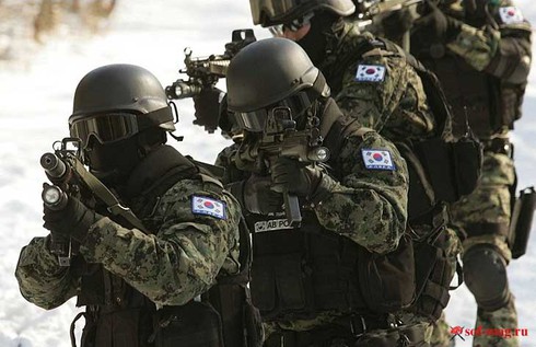 Những lực lượng uy mãnh của hải quân Hàn Quốc - ảnh 8