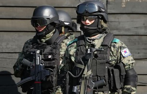 Những lực lượng uy mãnh của hải quân Hàn Quốc - ảnh 7