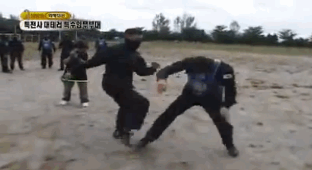 Những lực lượng uy mãnh của hải quân Hàn Quốc - ảnh 9