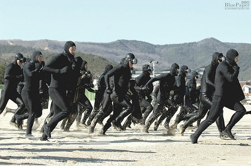 Những lực lượng uy mãnh của hải quân Hàn Quốc - ảnh 4