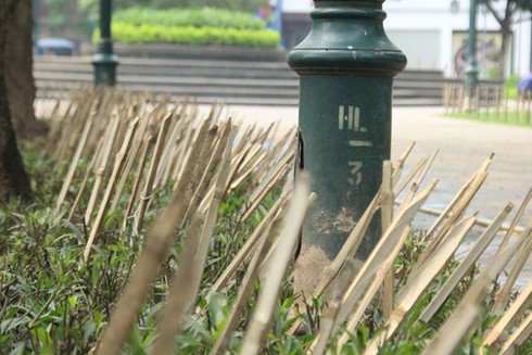 Hà Nội: Bãi chông bẫy chó ở vườn hoa Phan Chu Trinh đã được nhổ bỏ - ảnh 1