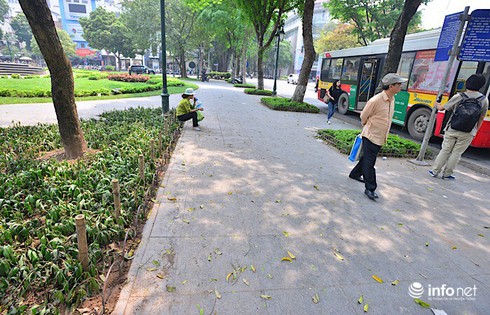 Hà Nội: Bãi chông bẫy chó ở vườn hoa Phan Chu Trinh đã được nhổ bỏ - ảnh 4