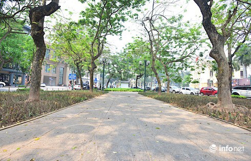 Hà Nội: Bãi chông bẫy chó ở vườn hoa Phan Chu Trinh đã được nhổ bỏ - ảnh 8