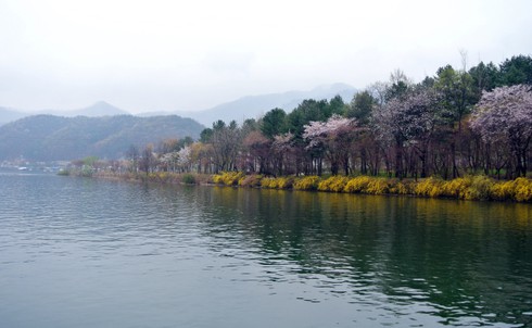 Vé miễn phí đến Hàn Quốc cùng đường bay Hà Nội – Seoul của Vietjet - ảnh 2