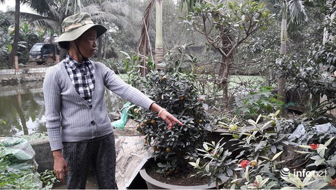 Mật phục, bắt quả tang nhà máy ximăng Vạn Ninh xả khói bụi kinh hoàng - ảnh 2