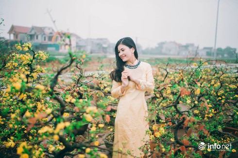 Người Hà Tĩnh diện áo dài xuống phố đón Tết - ảnh 2