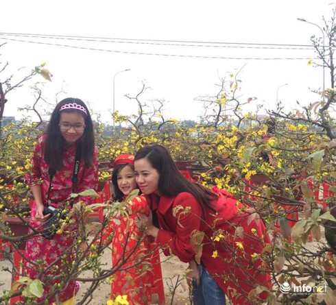 Người Hà Tĩnh diện áo dài xuống phố đón Tết - ảnh 10