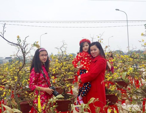 Người Hà Tĩnh diện áo dài xuống phố đón Tết - ảnh 11