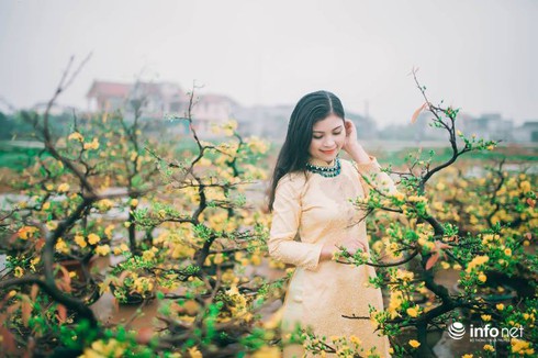 Người Hà Tĩnh diện áo dài xuống phố đón Tết - ảnh 3