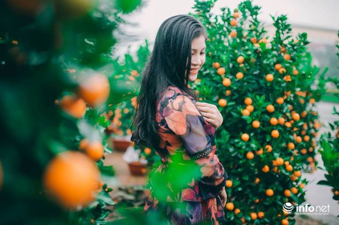 Người Hà Tĩnh diện áo dài xuống phố đón Tết - ảnh 4