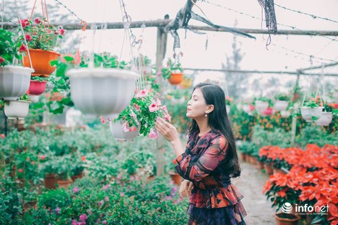 Người Hà Tĩnh diện áo dài xuống phố đón Tết - ảnh 5