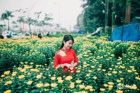 Người Hà Tĩnh diện áo dài xuống phố đón Tết - ảnh 6