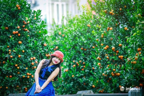 Người Hà Tĩnh diện áo dài xuống phố đón Tết - ảnh 7