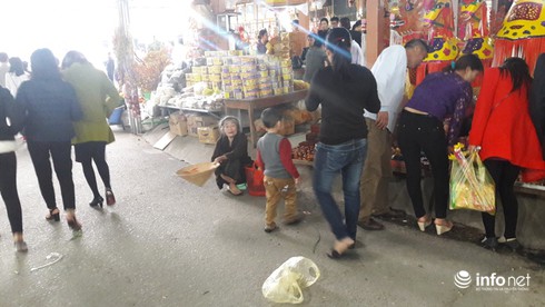 Hà Tĩnh: Đốt hàng trăm