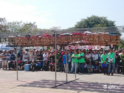 Chào mào giá 140 triệu vượt 500 chú chim đạt giải nhất Cúp vàng cố đô - ảnh 9