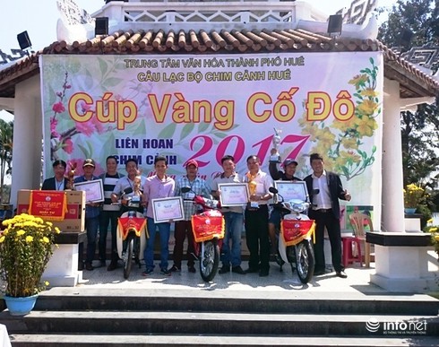 Chào mào giá 140 triệu vượt 500 chú chim đạt giải nhất Cúp vàng cố đô - ảnh 12