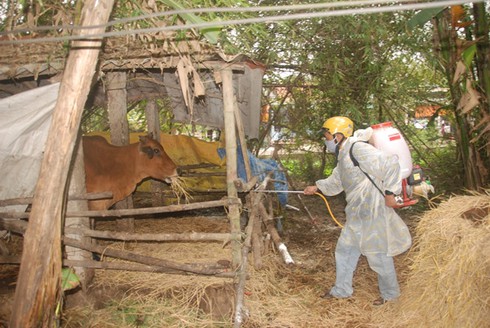 Hà Tĩnh: Phát hiện 2 ổ dịch lở mồm long móng - ảnh 1