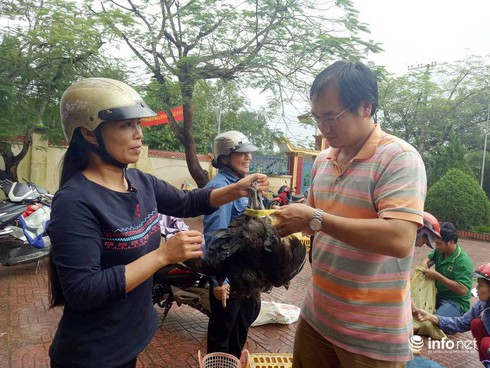 Thạc sĩ nước ngoài về quê “xúc phân gà”, kiếm tiền tỉ mỗi năm - ảnh 2