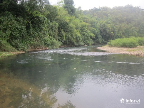 Thanh Hóa: Lấy mẫu kiểm tra tìm nguyên nhân cá chết trắng 10km trên sông Âm - ảnh 1