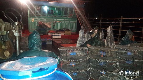 Đánh ghẹ đỏ ở ngư trường Vịnh Bắc Bộ (bài 1) - ảnh 4