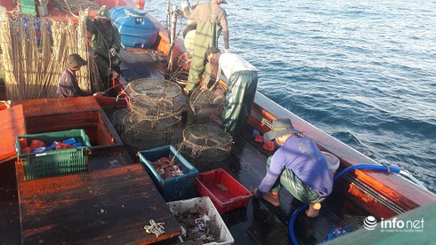 Đánh ghẹ đỏ ở ngư trường Vịnh Bắc Bộ (bài 1) - ảnh 7