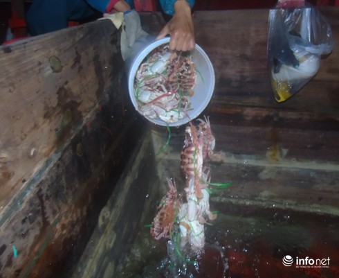 Đánh ghẹ đỏ ở ngư trường Vịnh Bắc Bộ (bài 1) - ảnh 9