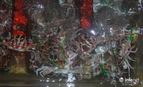 Đánh ghẹ đỏ ở ngư trường Vịnh Bắc Bộ (bài 1) - ảnh 10