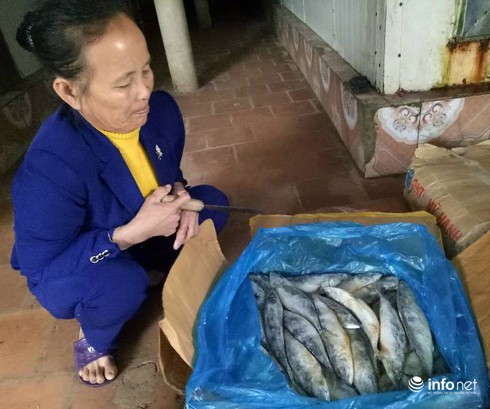 Hà Tĩnh: Chênh lệch hàng nghìn tấn số liệu bồi thường thủy hải sản - ảnh 3