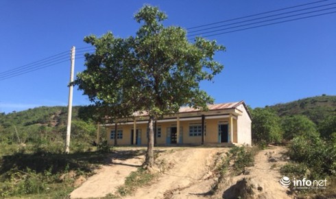 Video: Lớp có 5 học sinh giữa rừng Tây Nguyên - ảnh 1