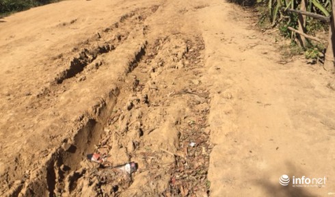 Video: Lớp có 5 học sinh giữa rừng Tây Nguyên - ảnh 6