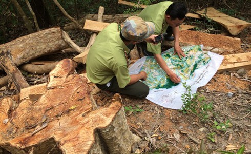 Đắk Lắk: Gần 50 đối tượng bịt mặt vây xe kiểm lâm cướp gỗ lậu trong đêm - ảnh 1