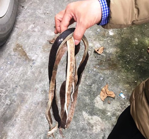 Nghệ An: Bắt xe tải chở 10 tấn da trâu không rõ nguồn gốc - ảnh 1