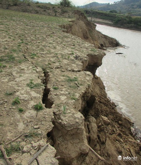 Tây Nguyên: “Đối với cát tặc cần phải xử lý thẳng tay” - ảnh 1
