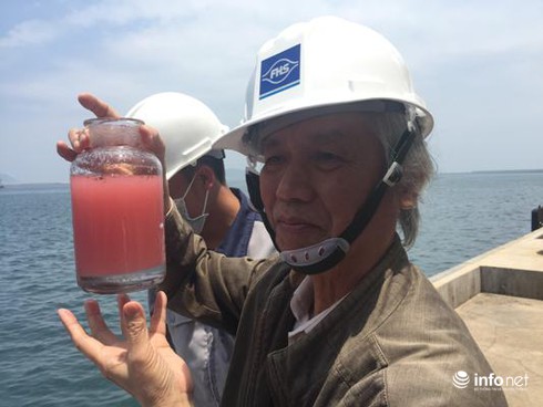 Hà Tĩnh: Lại xuất hiện dải nước đỏ tại cảng Sơn Dương - ảnh 3